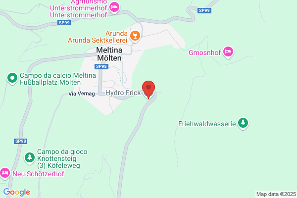 Frick Raimund (Dr.)