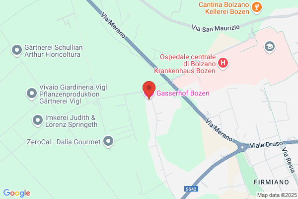 Gasser Gottfried