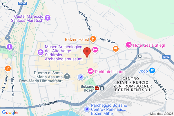 Suedtiroler Volksgruppen Institut
