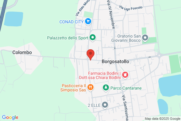 Pansera elio