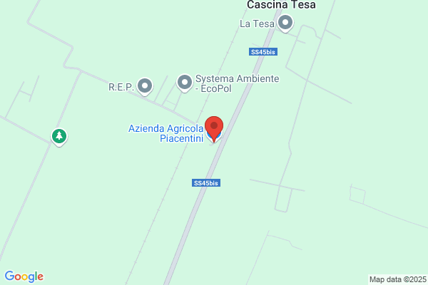 Piacentini marco