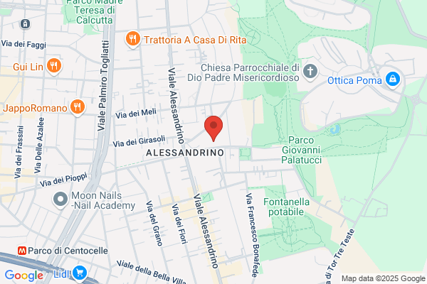 Rinnovamento Nello Spirito Santo