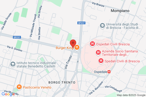 Nonsolocidi
