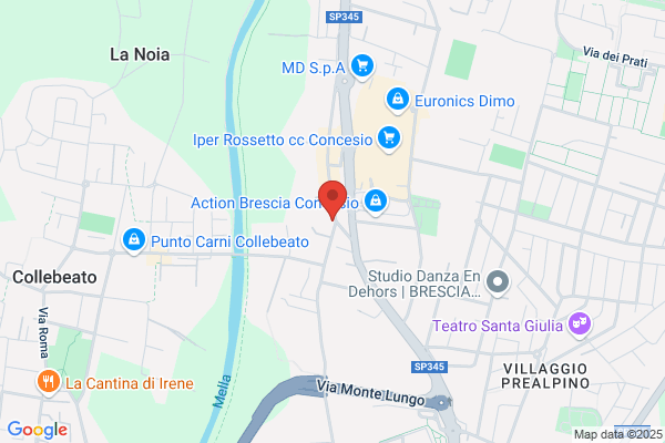 Pelati romolo (Dr.)