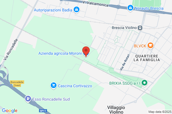 Moroni giovita