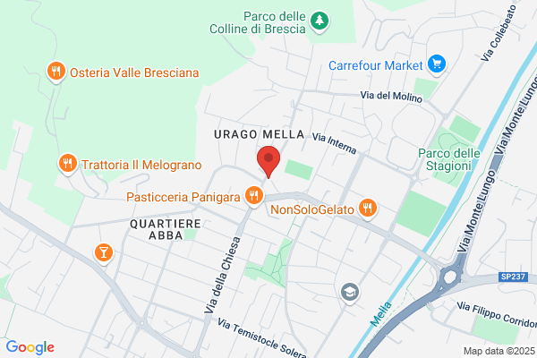 Massardi amelia (Dr.)