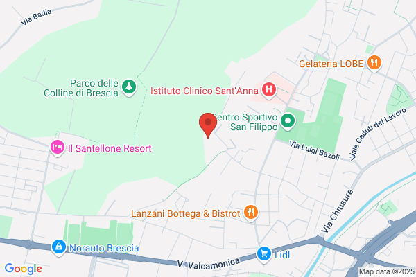 Toolservice Franchi (S.R.L.)