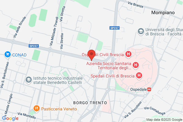 Turillazzi oliviero