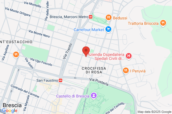 Scutra cristina (Dr.)