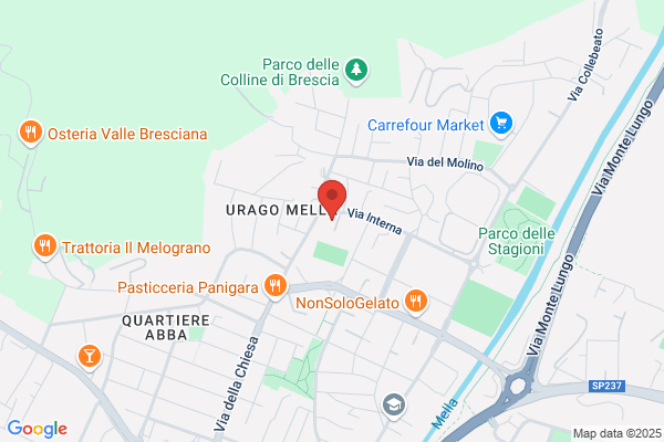 Ongaro massimo