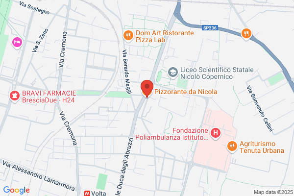 Orto nicola