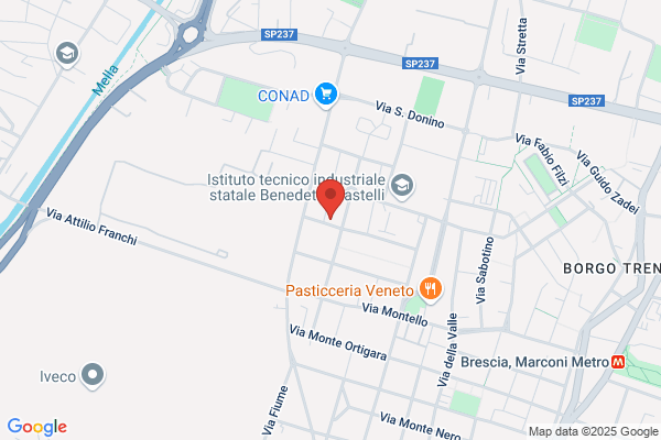 Serioli bruno (Geom.)