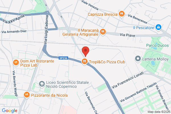 Brescia Viti Srl