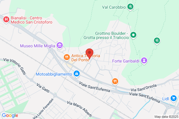 Porta margherita (Dr.)
