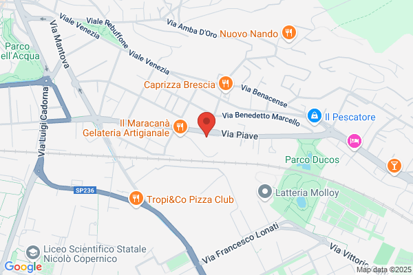 Pubblica Assistenza Volontaria Bresciasoccorso