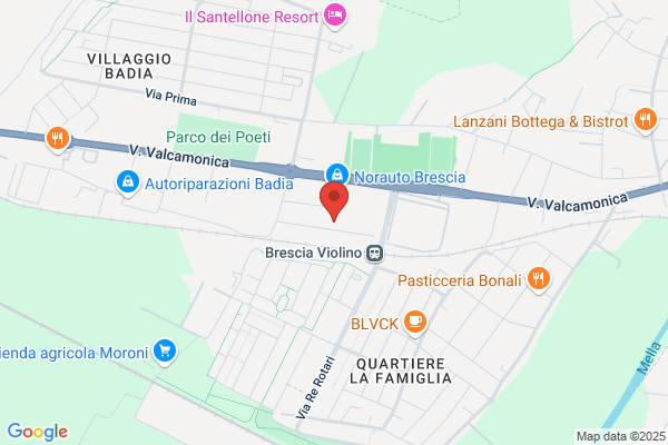 Il Restauro Srl