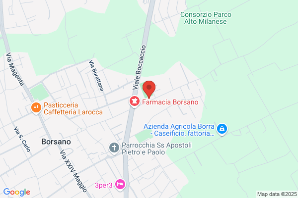 Unione Sportiva Borsanese