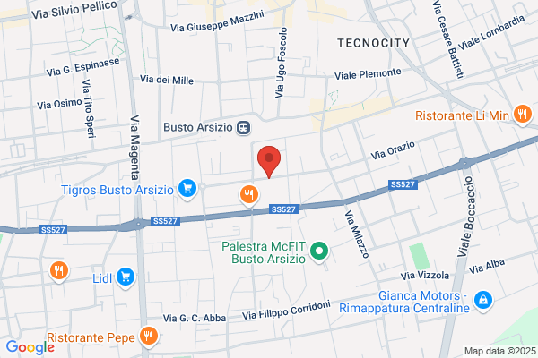 Servi Industrie Grafiche (S.P.A.)