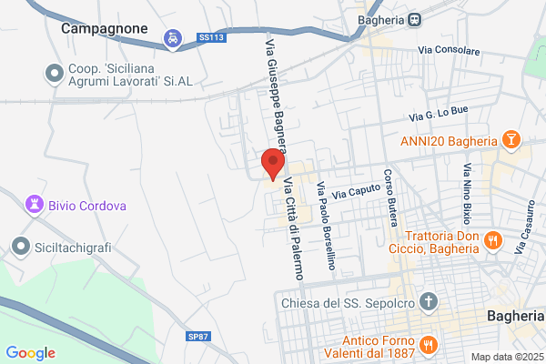 New International Bookshop Di Montalto Paola