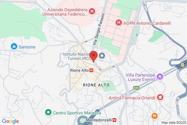 Napoli vincenzina