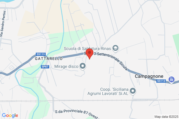 Salamone Group