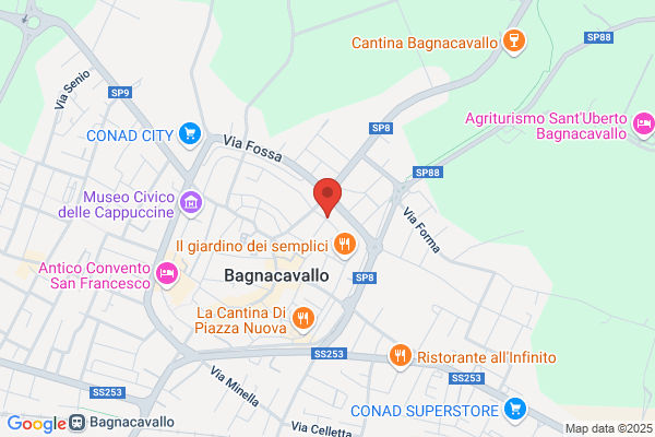Vecchi roberta