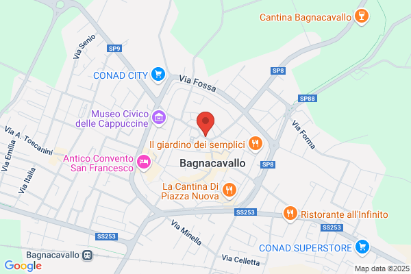 Un Punto Macrobiotico
