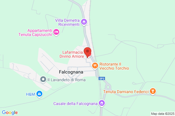 Occhiuto domenica (Dr.)