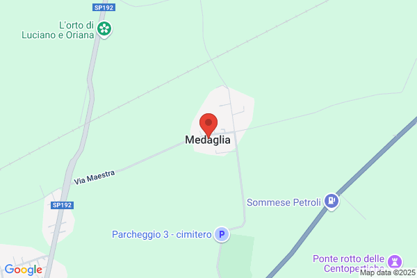 Medaglia franca