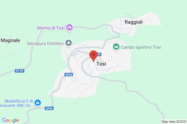 Fantoni (S.R.L.)