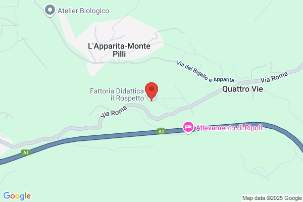 Fattoria Di Quarto