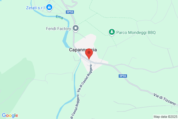 Lepore tommasina