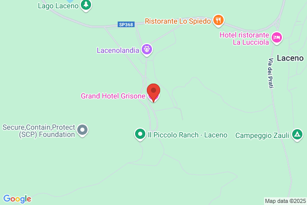 Grand Hotel Grisone S.R.L.