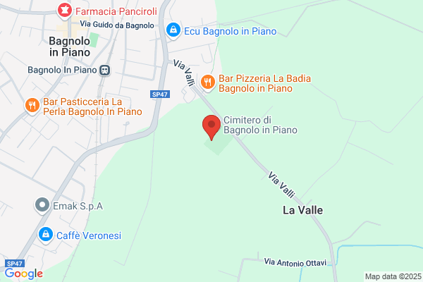 Menozzi cristina