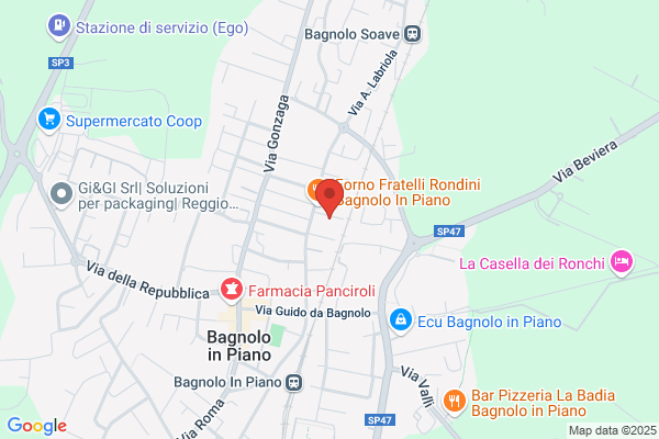 Saccani remigio