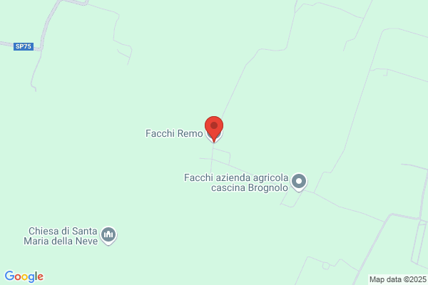 Facchi Remo