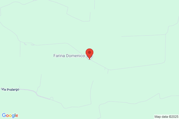Farina Domenico