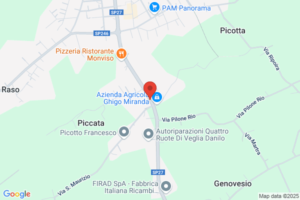 Genovesio Livio