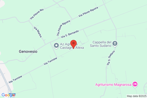 Rabarvo matteo