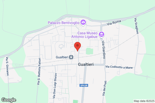 Farmacia Truzzi Di Gualtieri Dr. Luca E Truzzi Dr.Ssa Giulietta s.N.C.