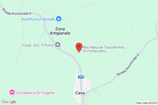 Res Naturae Tassidermia