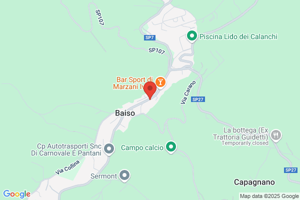 Palazzi danila