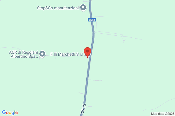 Team Marchetti