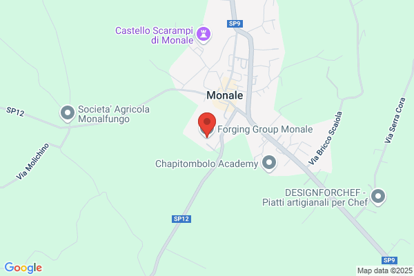 Forging Group Monale