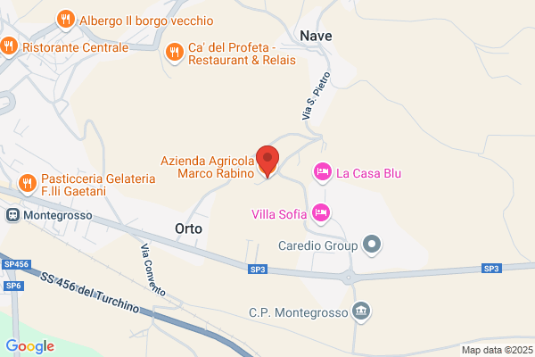Rabino marco