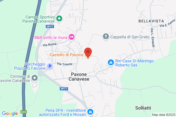 Pavone carlo