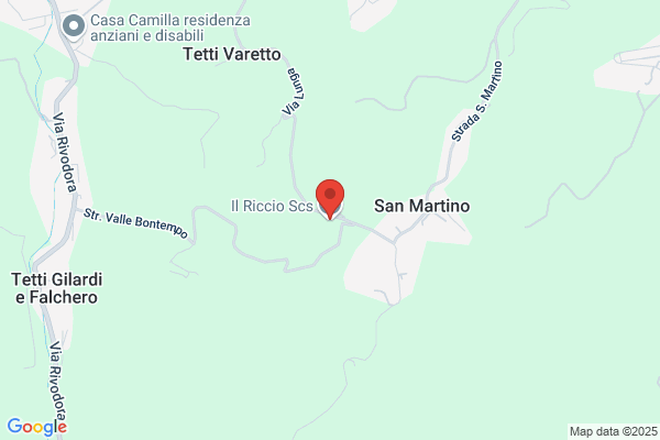 Il Riccio