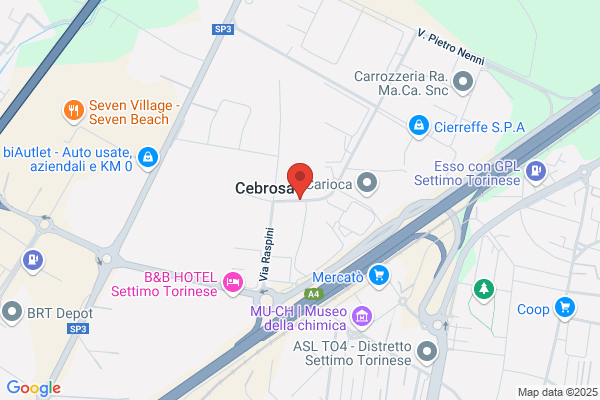 Elettronica Carrelli