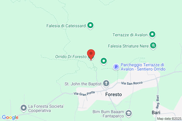Foresto Di Foresto Deodato Ed Ernesto Snc