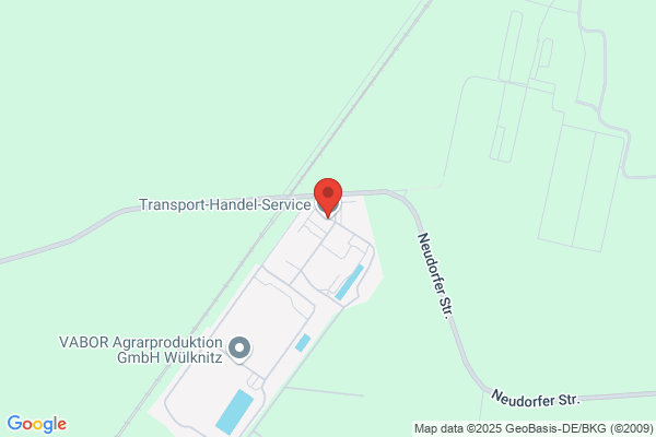Ths Transport And Handling Services Spa